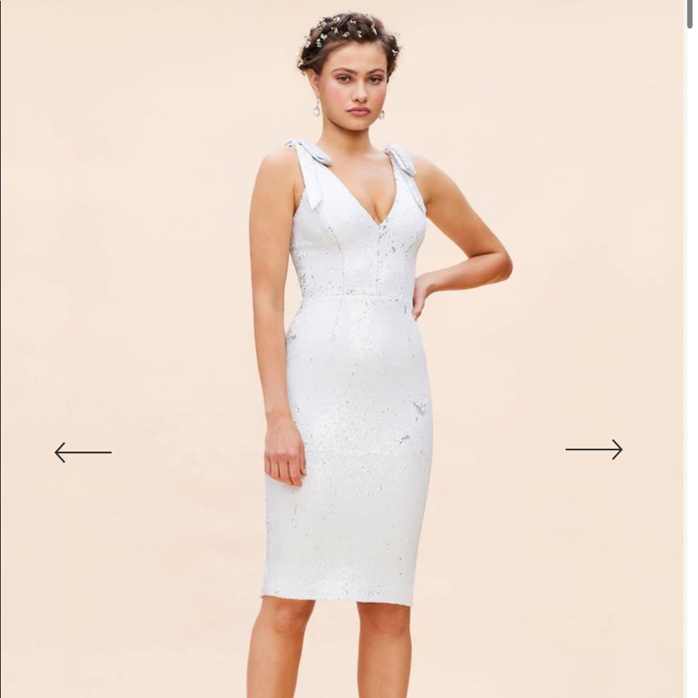 Dress the Population Mary Dress